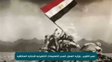 نصر أكتوبر.. وزارة العمل تصدر التعليمات التنفيذية للإجازة المنتظرة